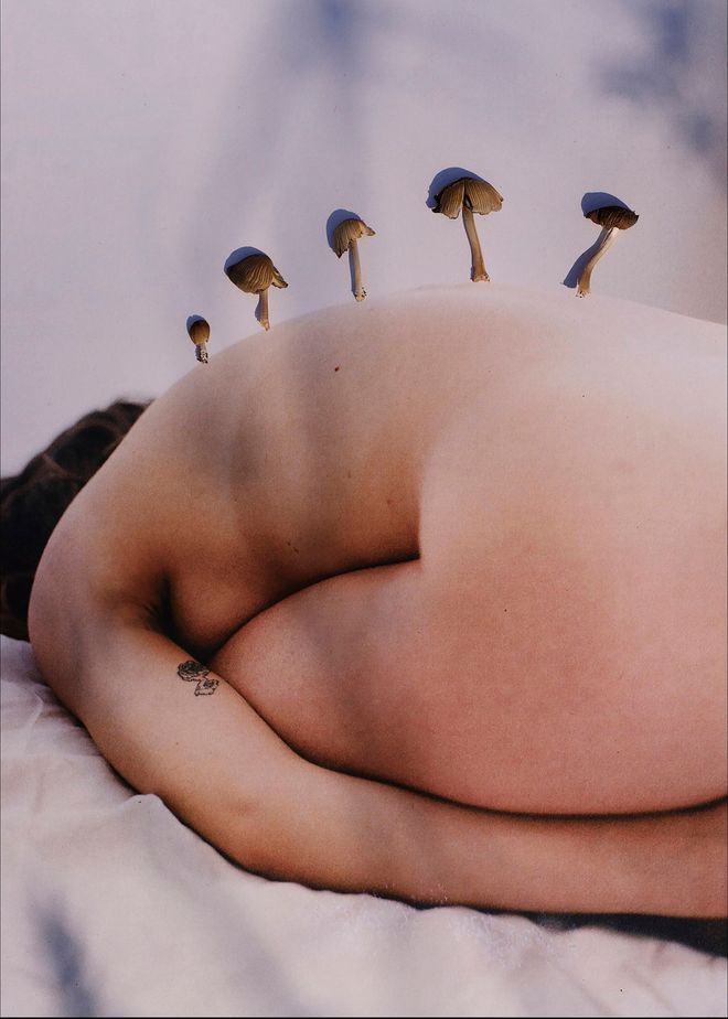 Una persona nuda distesa e raccolta su sé stessa; dalla schiena spuntano piccoli funghi.