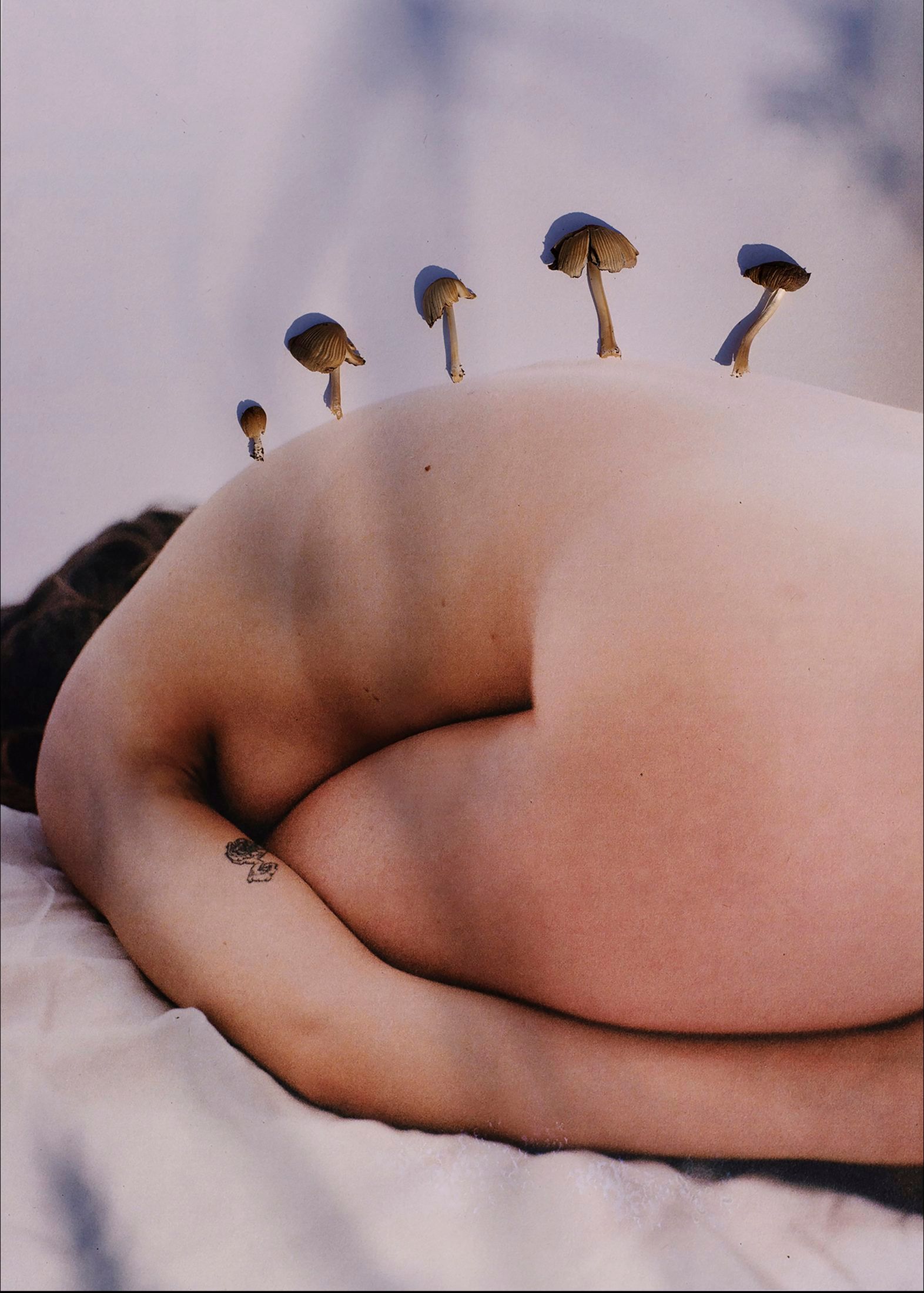 Una persona nuda distesa e raccolta su sé stessa; dalla schiena spuntano piccoli funghi.
