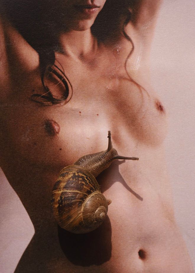 Busto di donna nuda con una grande chiocciola che le attraversa il ventre.