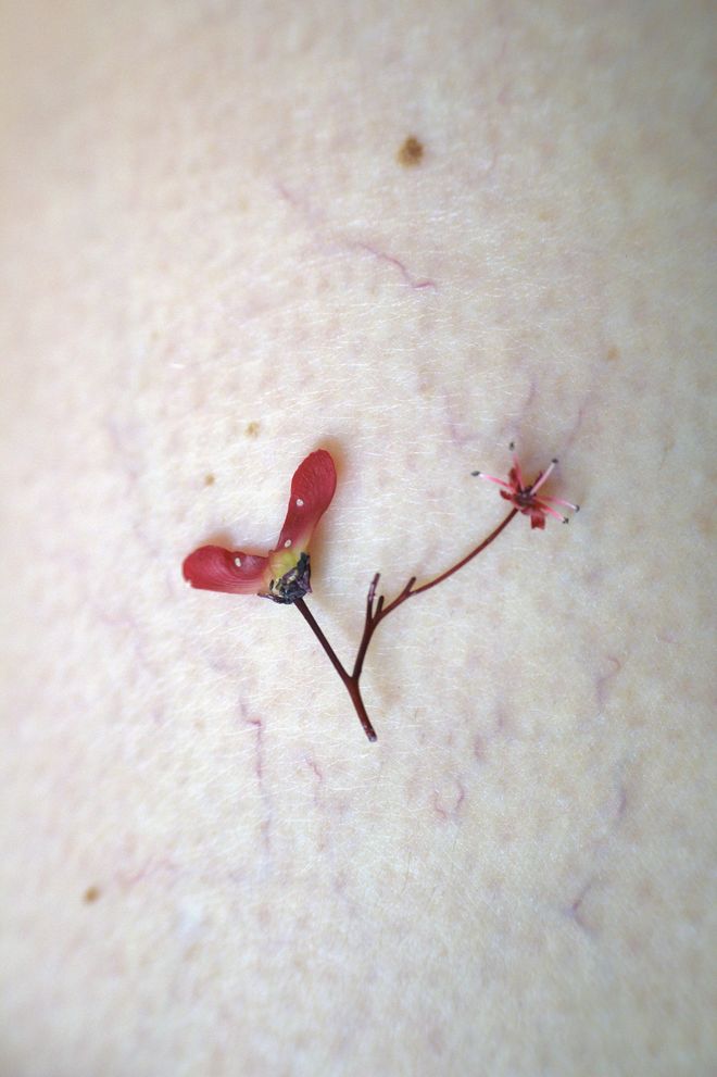 Un piccolo fiore rosso appoggiato sulla pelle chiara, segnata da capillari.