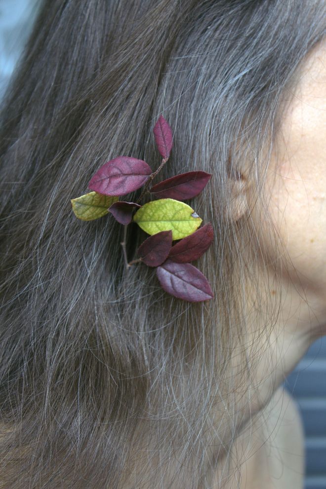 Profilo di donna con lunghi capelli grigi e un rametto di foglie rosse e verdi tra i capelli.